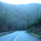 DSCN5622