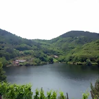 DSCN3464