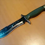 Oso Negro 1