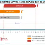 Periodo-de-detecci?n-de-SARS-CoV-2-a-trav?s-de-PCR-y-Test-de-ant?genos