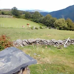 DSCN7041