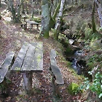DSCN9215