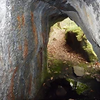 DSCN1373