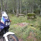 DSCN9029