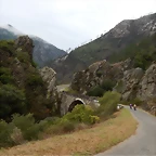 DSCN8411'4