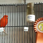 IMG_20170122_123826