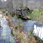 DSCN3970