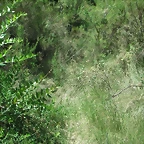 PICT0087