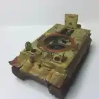 Tiger119