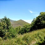 DSCN8229