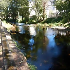 DSCN0270