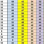 SIT CAMP TOTAL DESPRES SLOTCAR DEL 11 AL 25