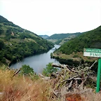 DSCN3500