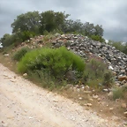 DSCN6234