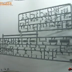 Diapositiva2