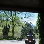IMG_1917