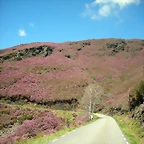 DSCN3987