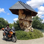ARBOLPARAMO