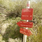 DSCN9640