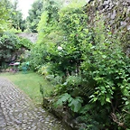 IMG_7760