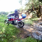 DSCN6885