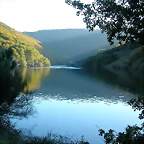 DSCN6493