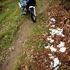 DSCN2963