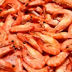 LANGOSTINOS