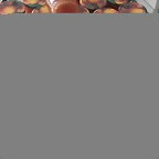 Mermelada abricots 2012