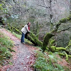 DSCN0679