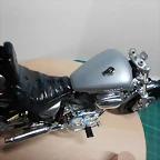 DSCN4784