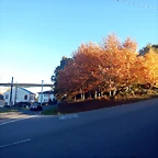 DSCN8946