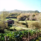 DSCN9520