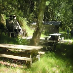 DSCN6690
