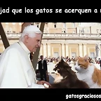 papa-benedicto-xvi-y-sus-dos-gatos