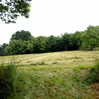 DSCN4271