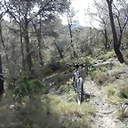Olocau 4