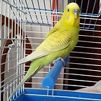 20170517_112116