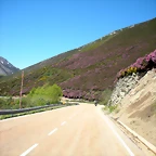 DSCN8533