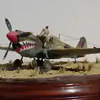 P-40M 005