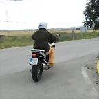Crosstourer 030