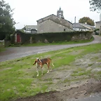 DSCN9114