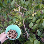 DSCN6760