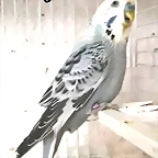 FB_IMG_1501572583214