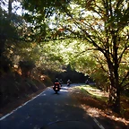 DSCN0955