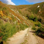 DSCN5043
