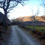 DSCN4105