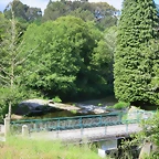 45-IMG_1515