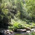 DSCN6719