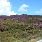 DSCN9002
